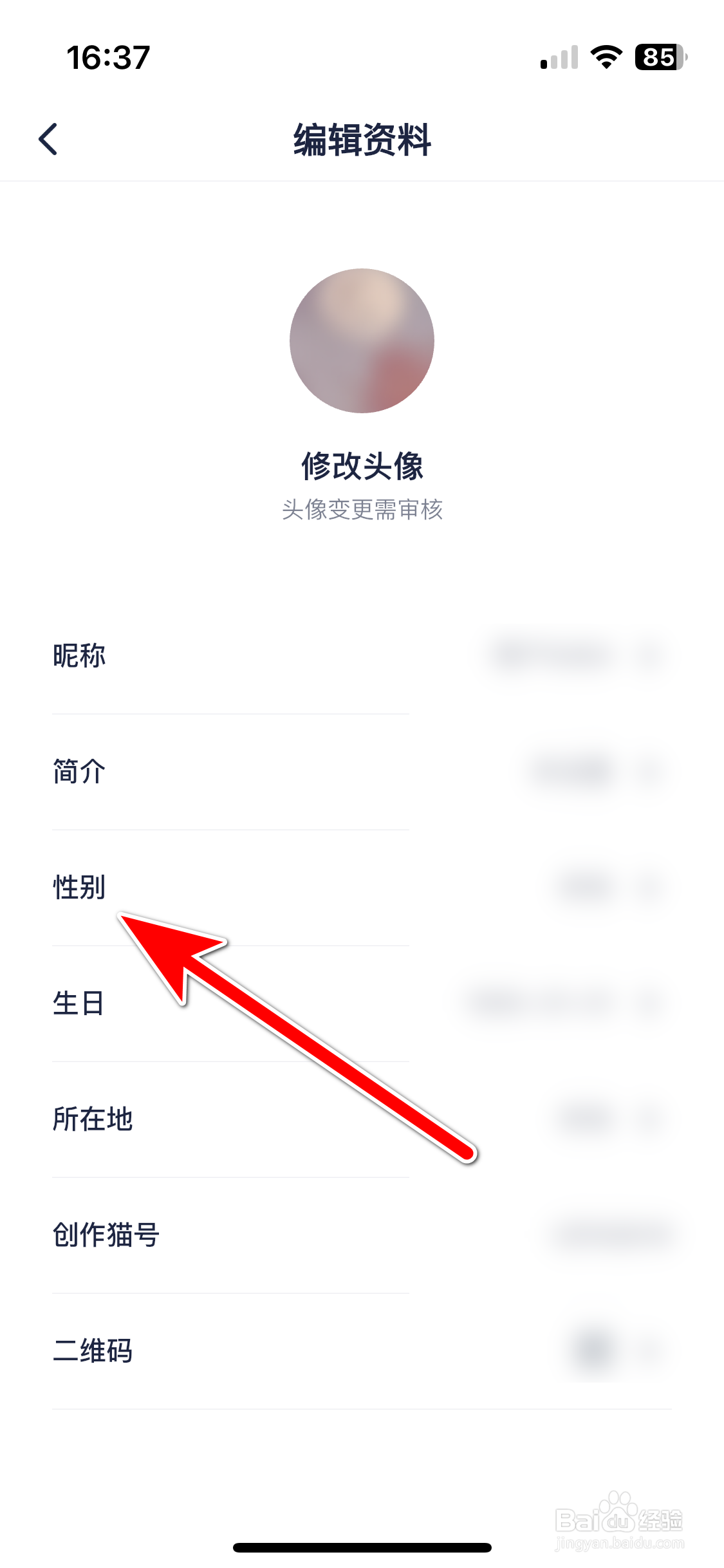创作猫如何设置个人性别