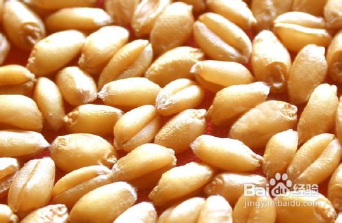 【远离失眠】提高睡眠质量的几种常见食材