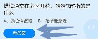 蜡梅通常在冬季开花，