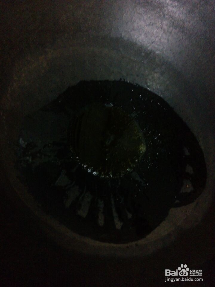 洋葱炒鸡蛋,美味的一道菜