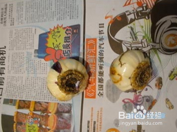 土培水培 风信子种球 盆栽花卉植物