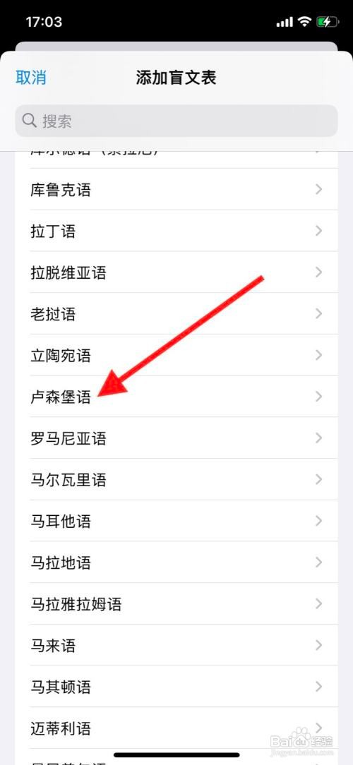 iPhone旁白添加“卢森堡语”盲文表