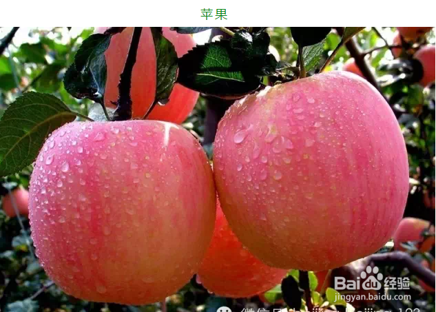 低热量食物大全让你吃到嗨瘦到爆！