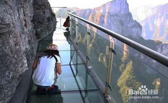 张家界自助游网站