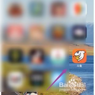 查询斗鱼的个人平台任务