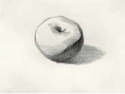 素描静物的画法一