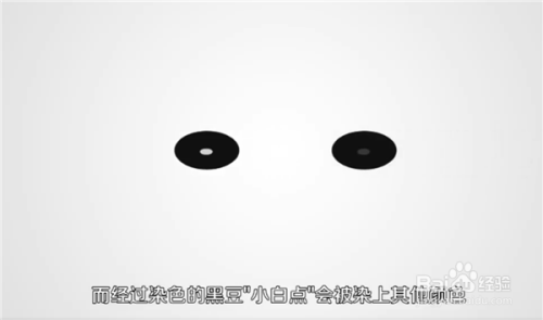 怎样鉴别真假黑豆？