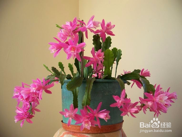 告诉大家电脑防辐射最好的方法