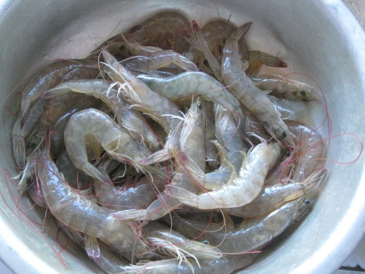 活虾怎么弄成虾仁