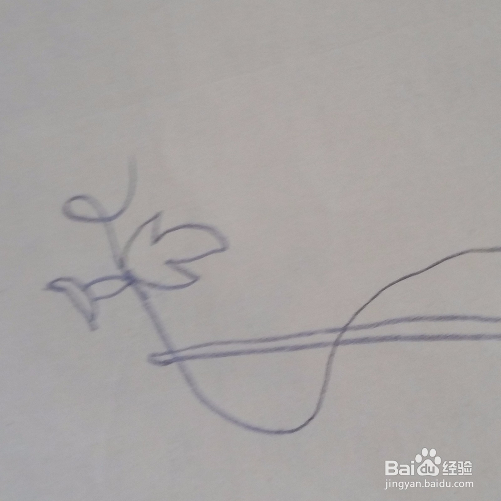 儿童简笔画牵牛花