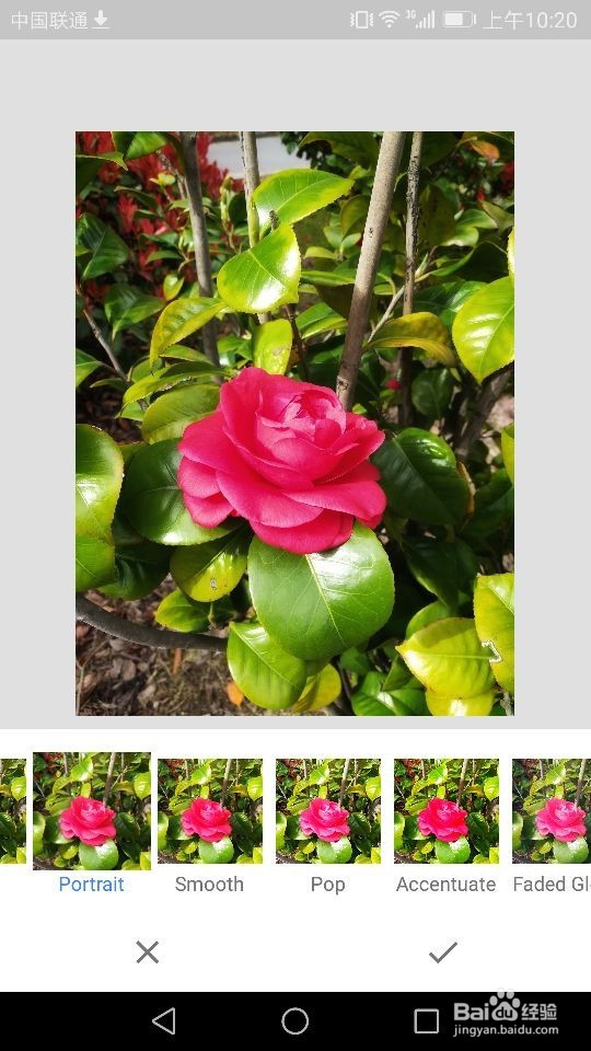 Snapseed软件如何进行照片样式的选择