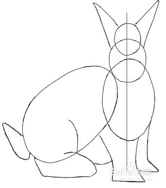 兔子的脚怎么画爪子图片