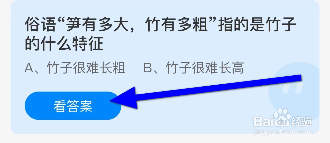 俗语笋有多大竹有多粗指竹子什么特征蚂蚁庄园