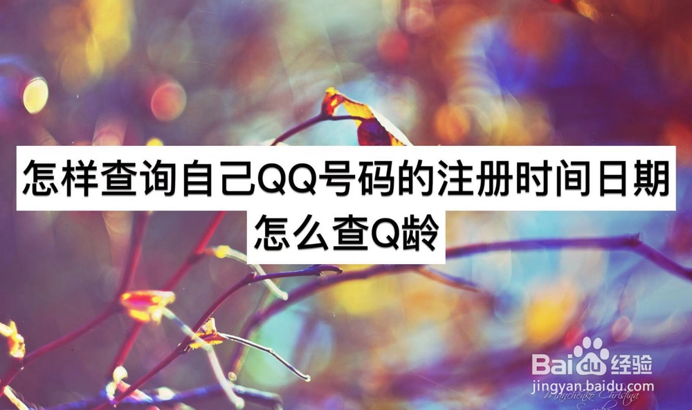 <b>怎样查询自己的QQ号码的注册时间日期 怎么查Q龄</b>