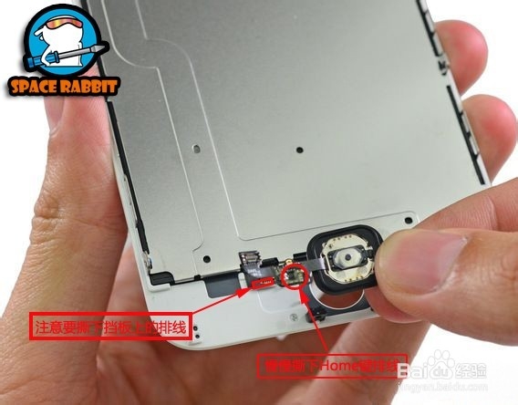 苹果(iphone)6碎屏更换屏幕图文教程