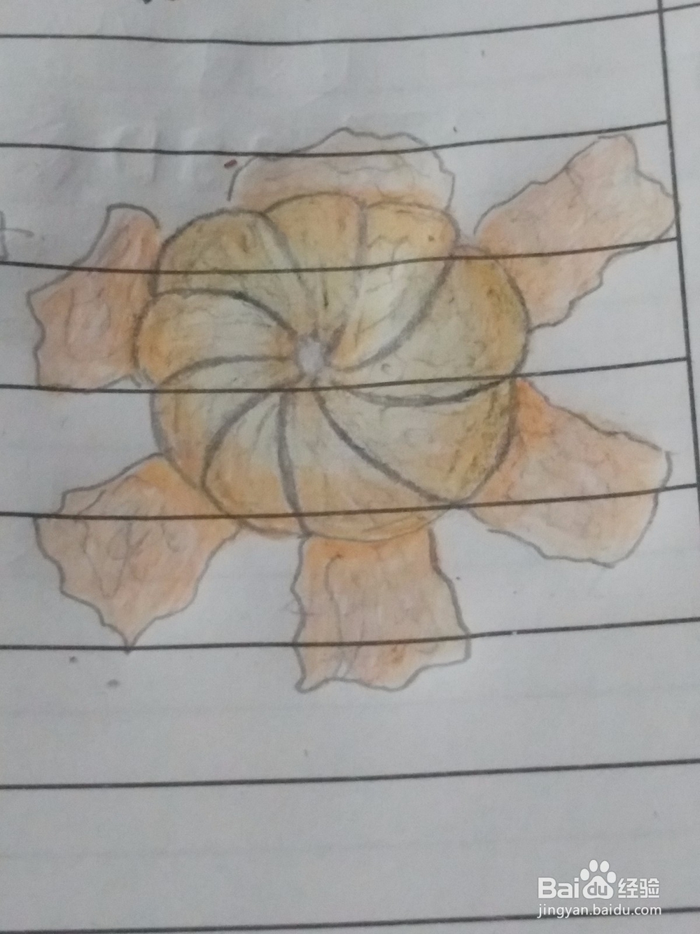 <b>一只扒开橘子皮的橘子 绘画详细步骤教程</b>