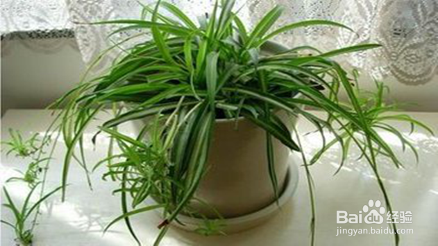 如何舒适地用电脑？