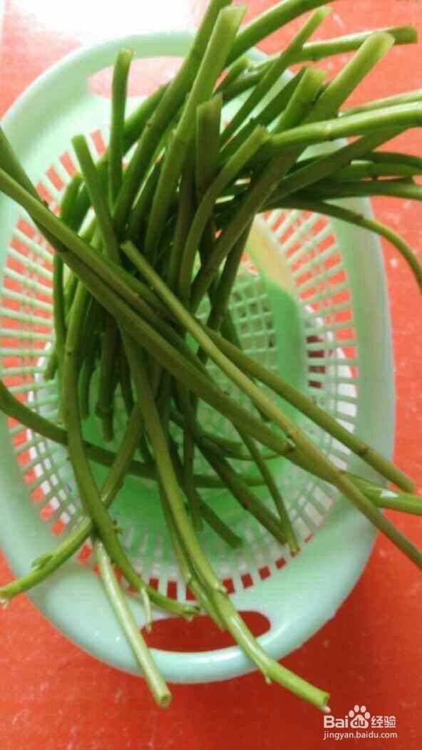 空心菜梗炒蛋,5分钟出锅，清热解毒，香辣开胃