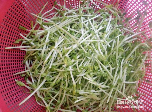 桂林米粉炒豌豆芽的做法