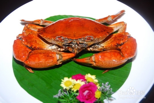 不能在一起吃的食物2