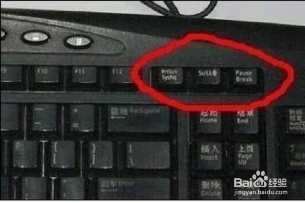 windows电脑截图的快捷键