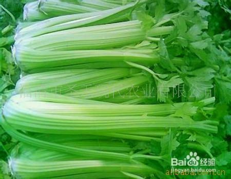 美白小窍门葡萄柚西芹汁