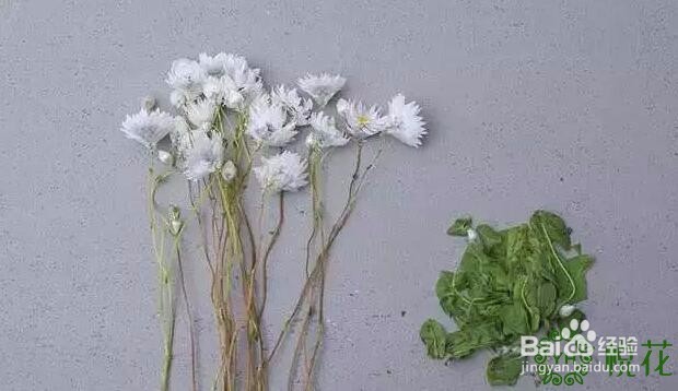 小清新的鲜花花束插花技巧图解