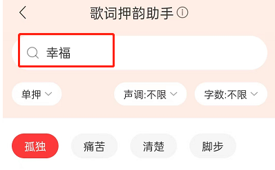 网易云音乐怎么打开歌词押韵助手