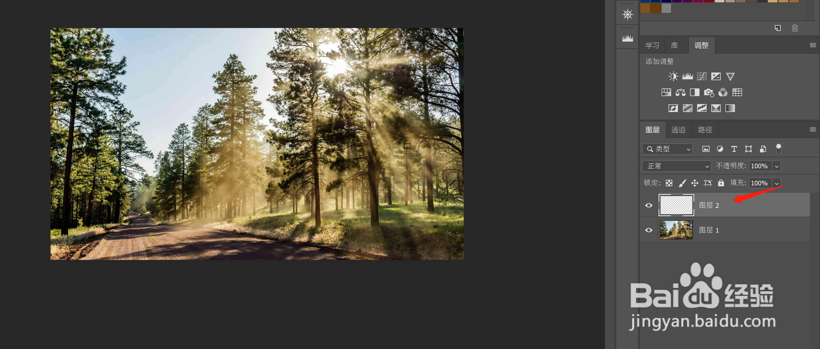 ps怎么制作白杨树