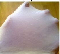 肉桂人参果面包卷