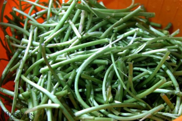 顺小煮-香干芦蒿炒咸肉