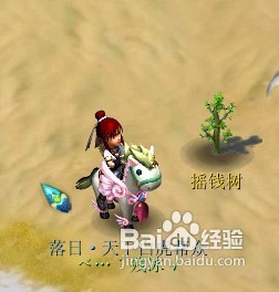 梦幻西游摇钱树苗怎么种