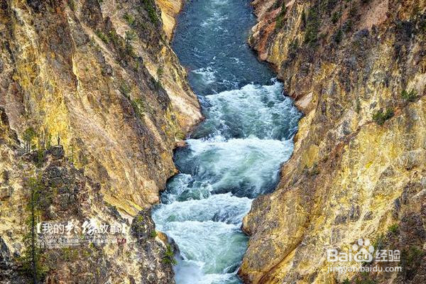 让我来告诉你，黄石大峡谷到底有多美！