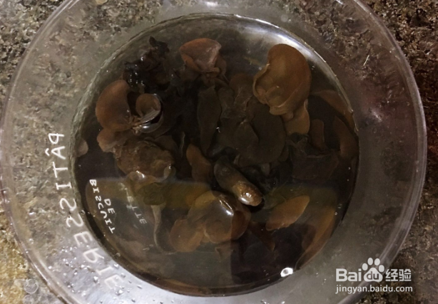 山药炒黑木耳的做法