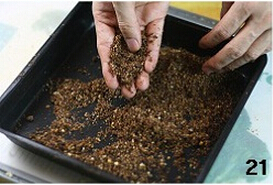 双色棋格奶油蛋糕