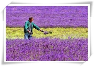 旅游的注意事项及带给我们的收获