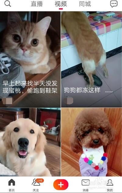 如何参加火山视频送红包活动