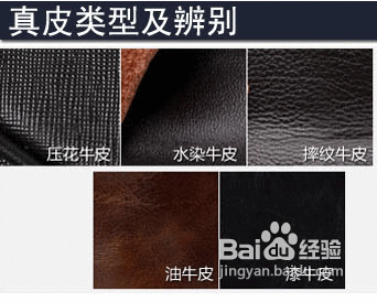 怎样识别真牛皮和真皮的类型