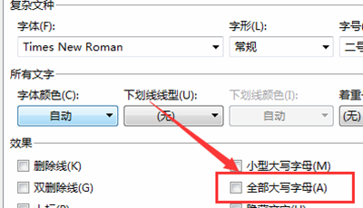 wps怎么设置英文只用大写字母