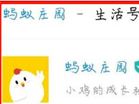 蚂蚁庄园日记入口怎么没了