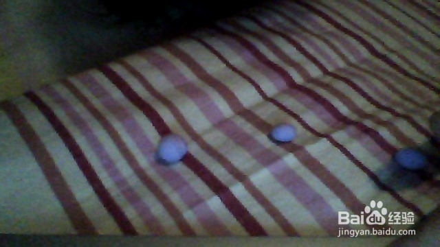 超轻粘土玫瑰花