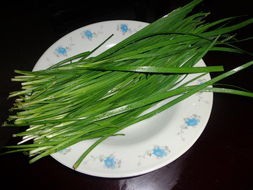 小偏方治大病——冠心病