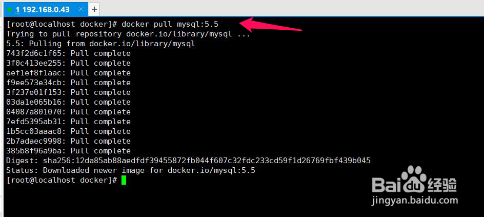 Docker(3)-Docker镜像的基本操作