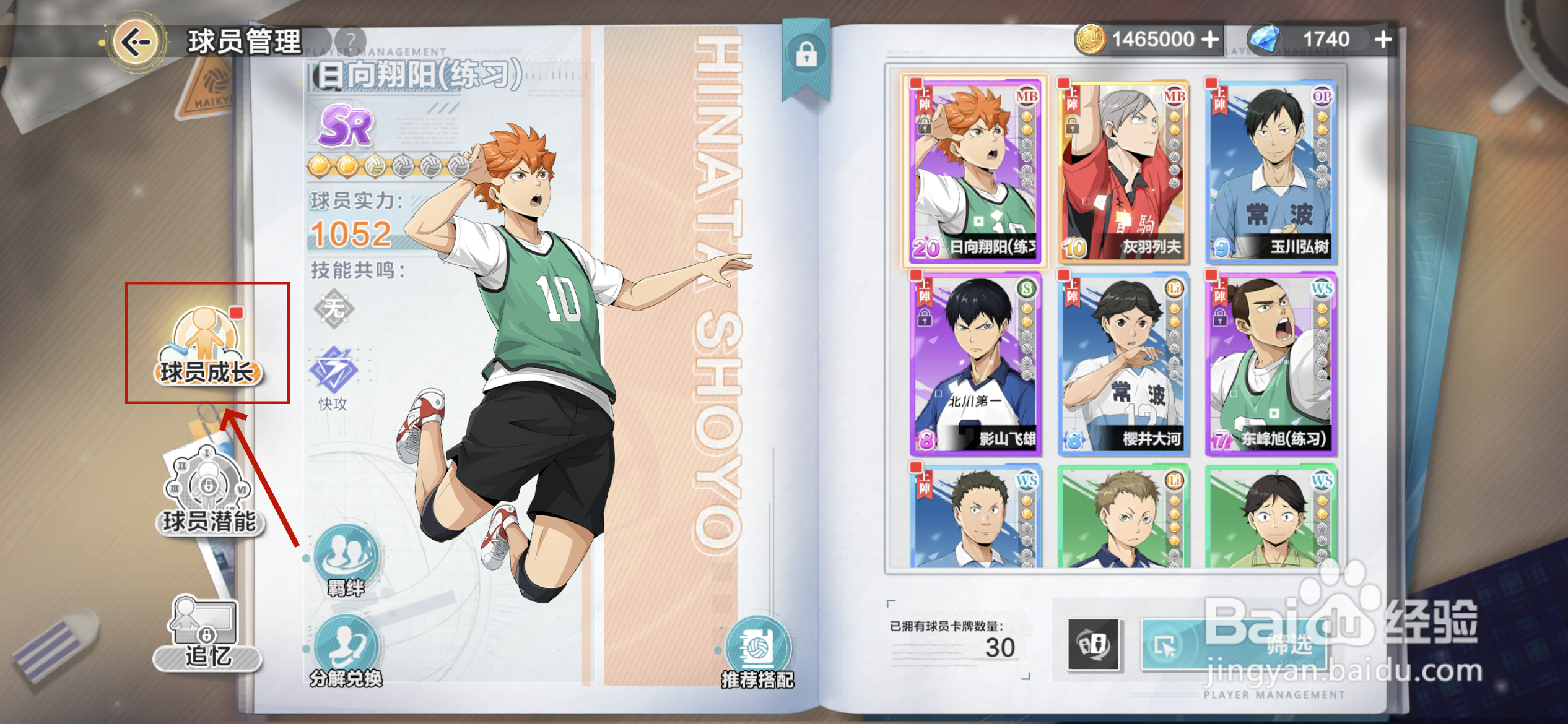 排球少年新的征程球员怎么升星