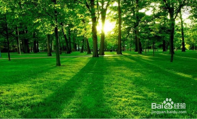 怎样保护好我们的生活与工作环境