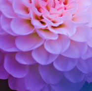 谈恋爱的几个要点