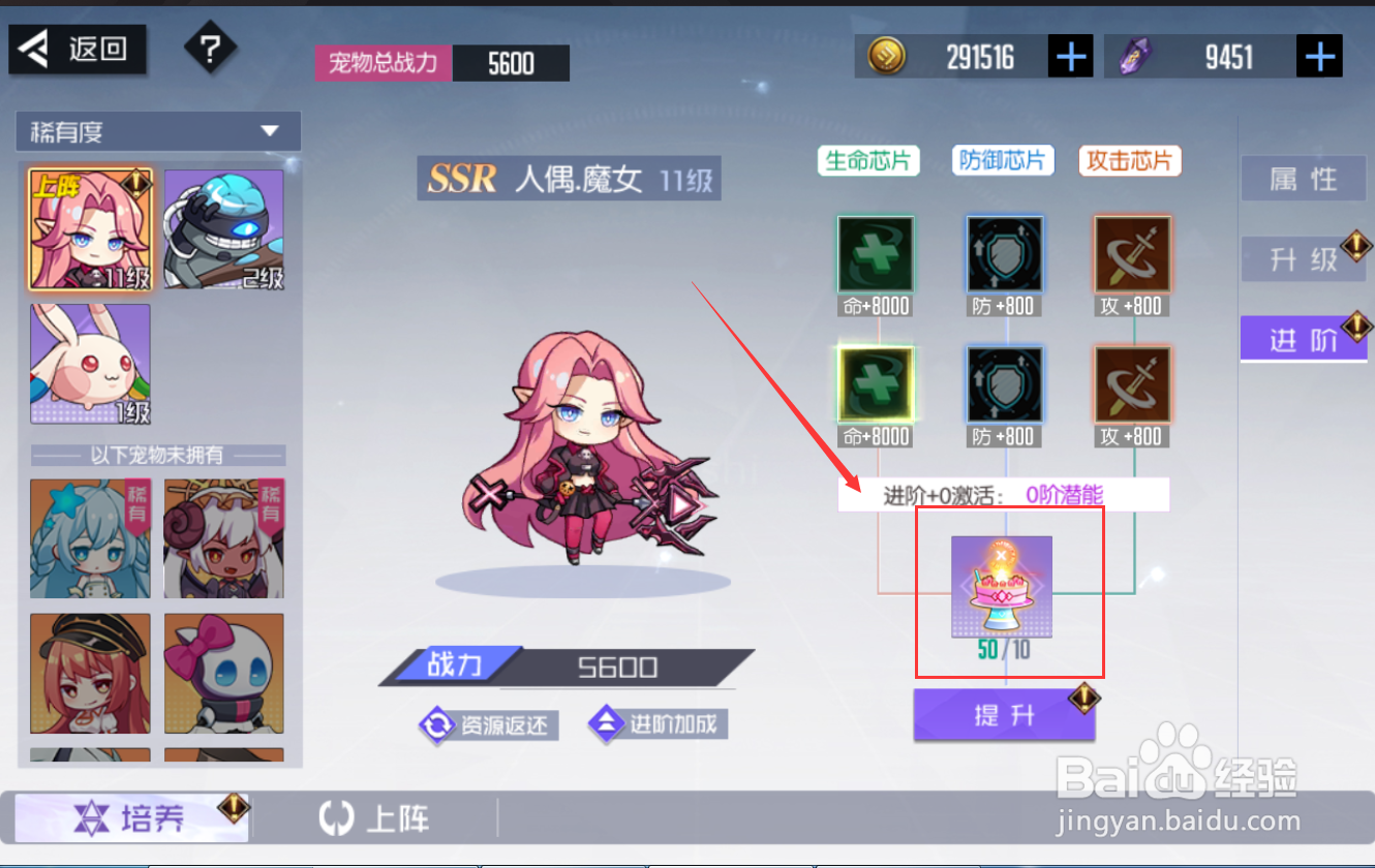 黑月手游宠物升级材料怎么获得