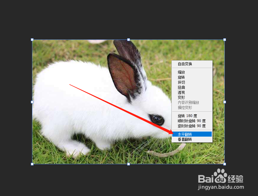 PS怎么水平旋转图片