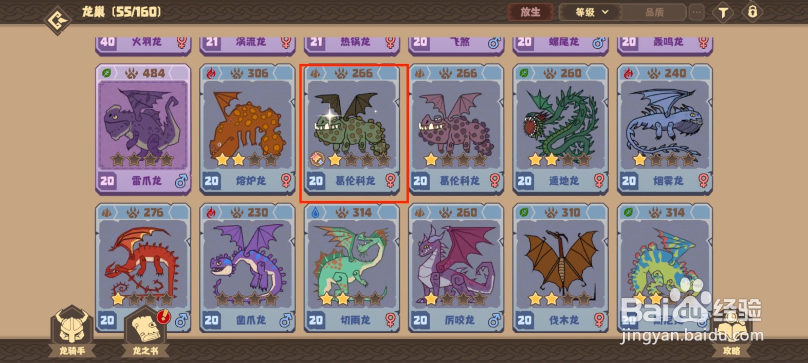 驯龙高手旅程葛伦科龙如何穿戴装备？