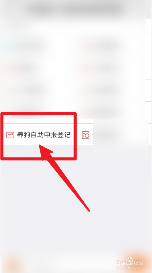 天津人是如何养狗的